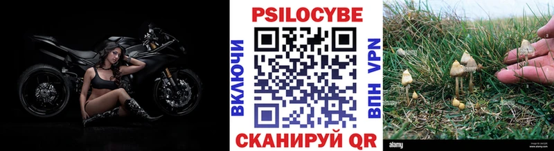 купить наркоту  Одинцово  Псилоцибиновые грибы прущие грибы 