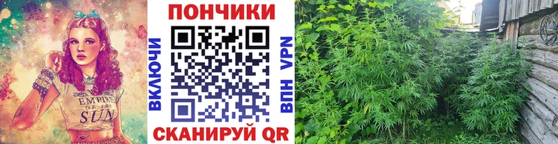 Бошки марихуана план Одинцово